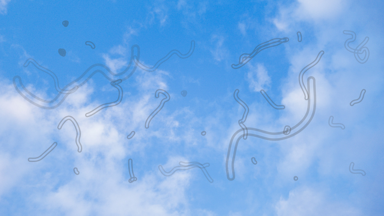 Everyday habits and eye floaters: what to keep separate