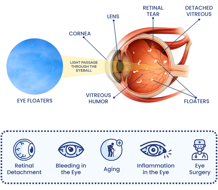 Haro Clear – Haro Health